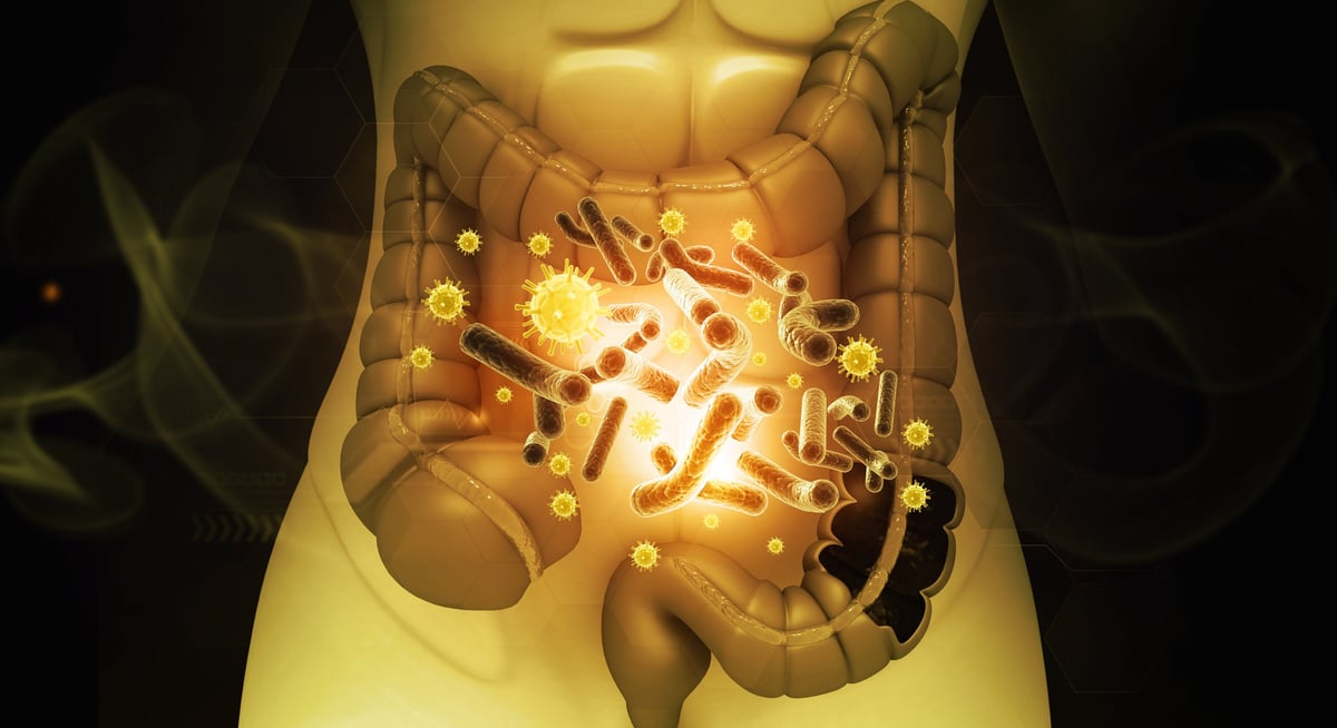 Permeabilidad Intestinal - Diversidad del microbioma intestinal humano